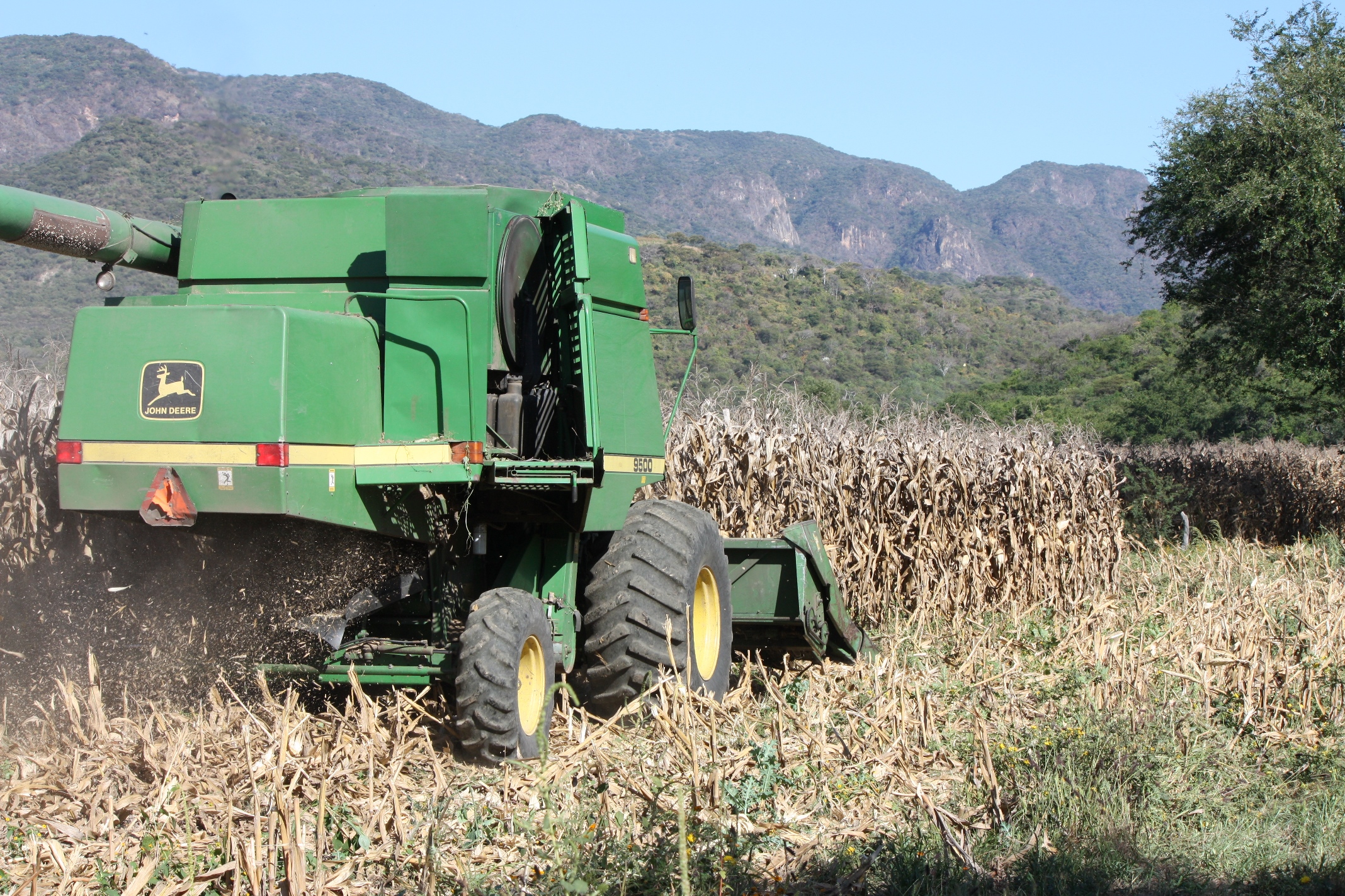 Inversión o costo de producción de maíz por hectárea