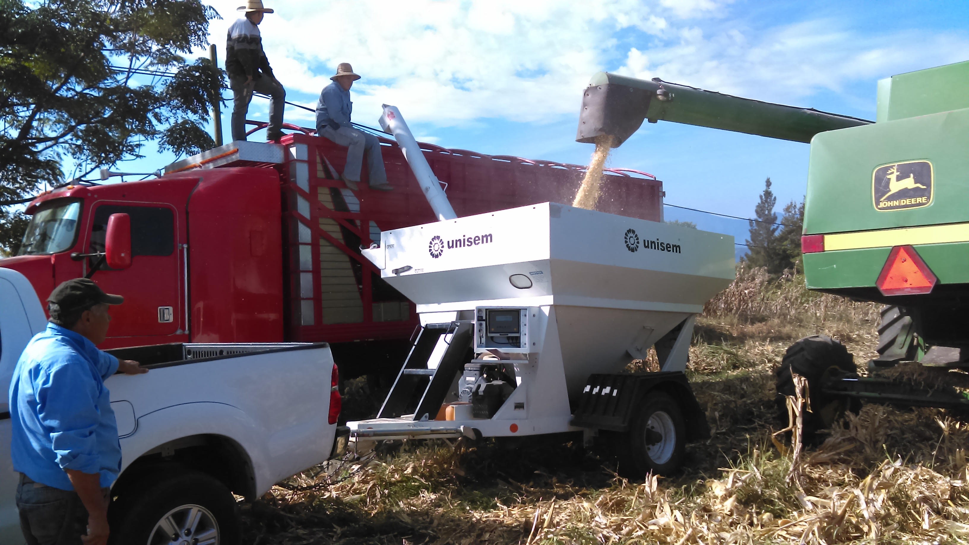 Costos de Producción de Maíz en Temporal
