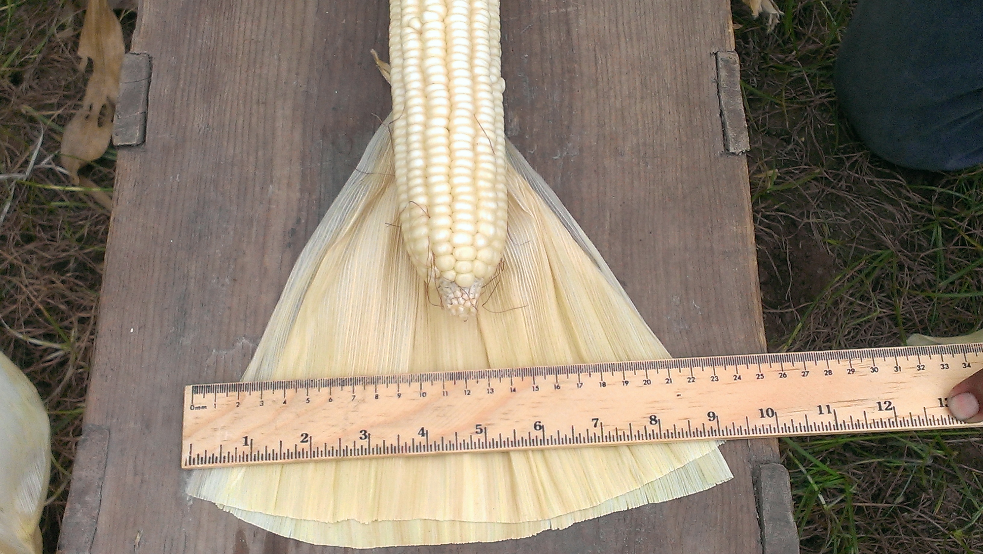 «Los clientes buscan hoja como esta»