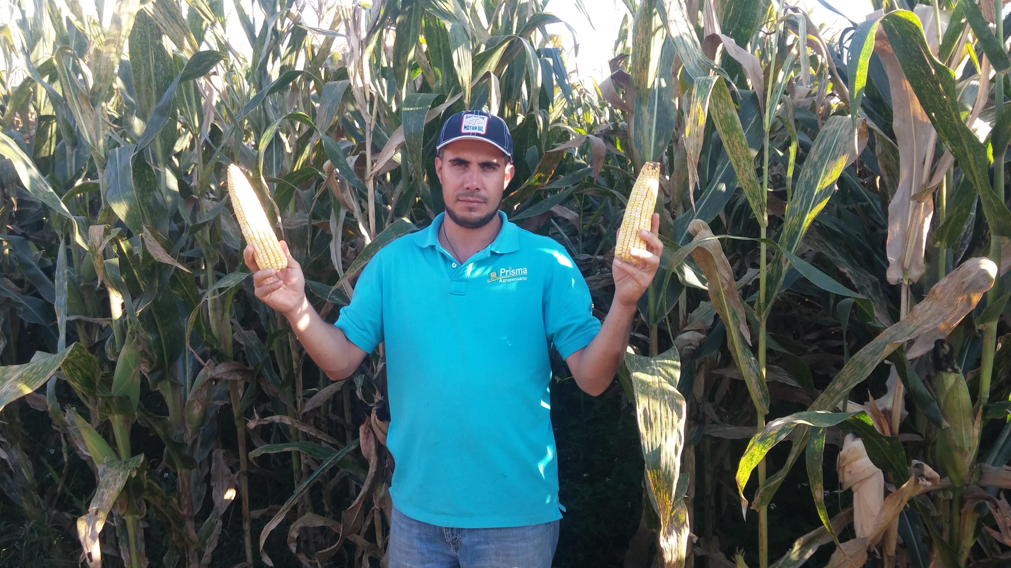 “Temis trae potencial”