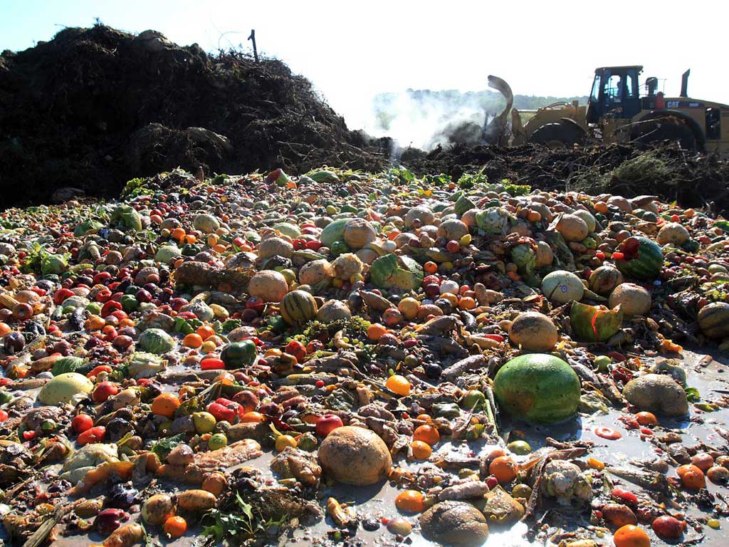 Desperdicio de alimentos, un reto mundial