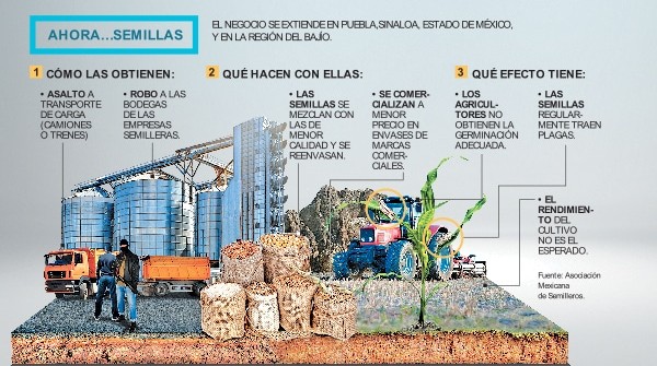 No a la piratería de semillas